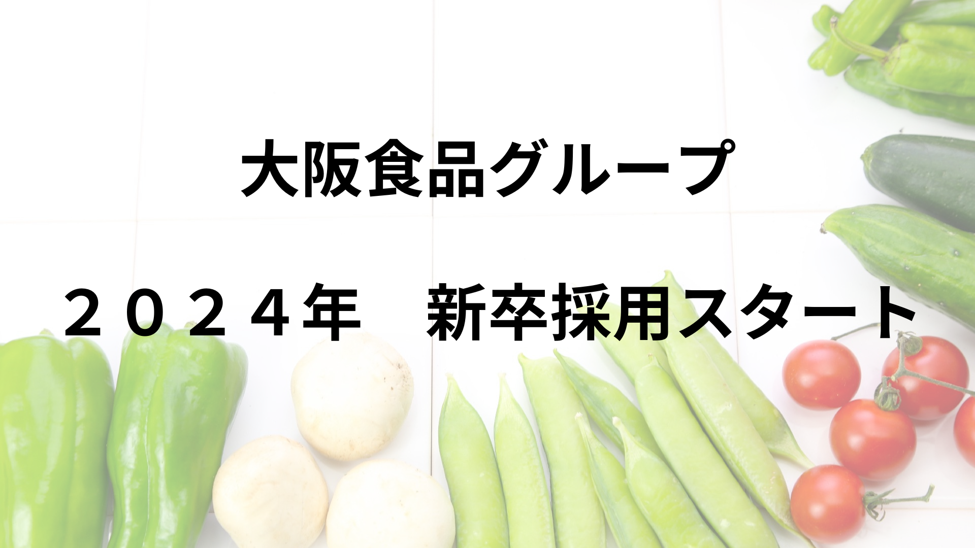 大阪食品グループ 2024年度新卒採用ページ