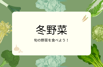 check！冬野菜を食べよう